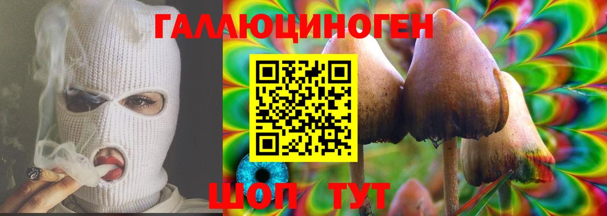 Галлюциногенные грибы мухоморы Коммунар
